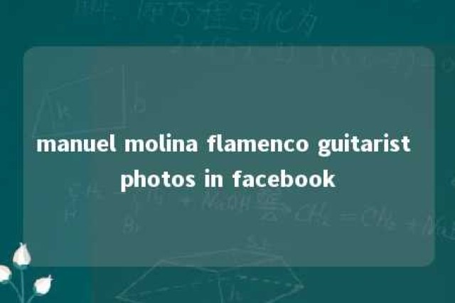 manuel molina flamenco guitarist photos in facebook 