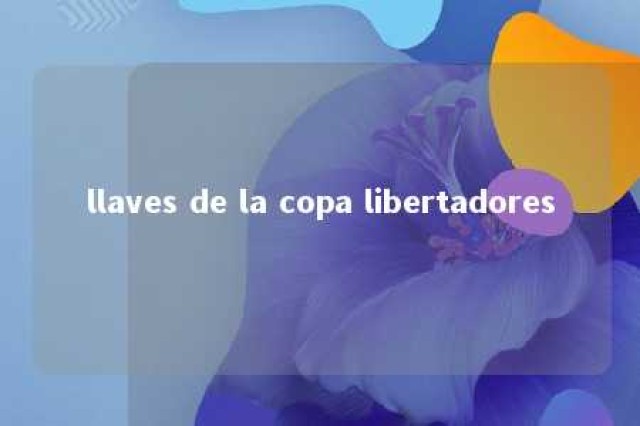 llaves de la copa libertadores 