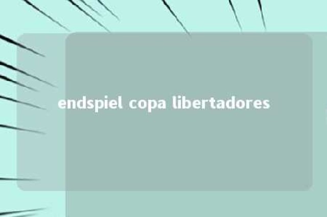 endspiel copa libertadores 